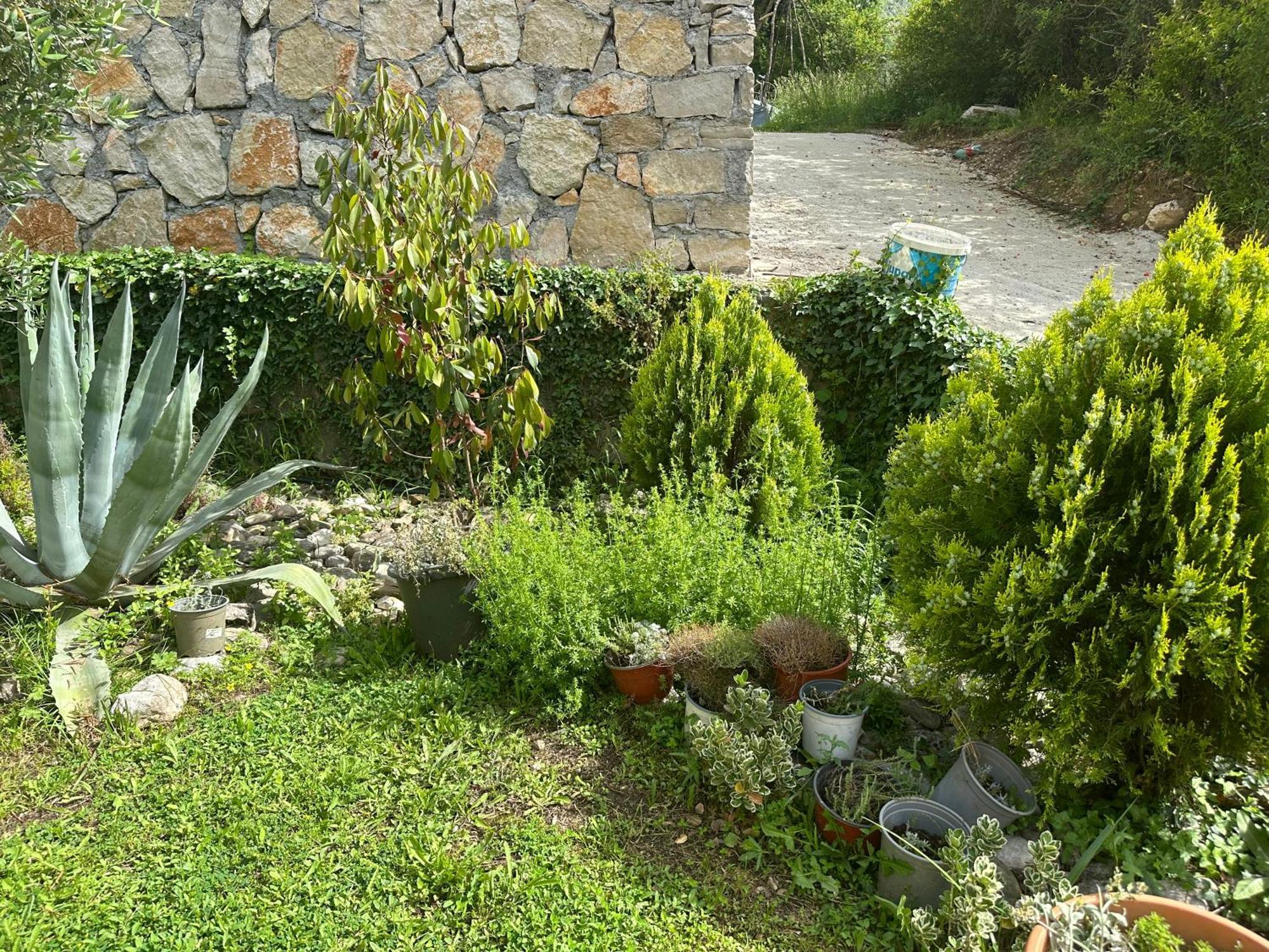 Villa Risan Apartments Esterno foto